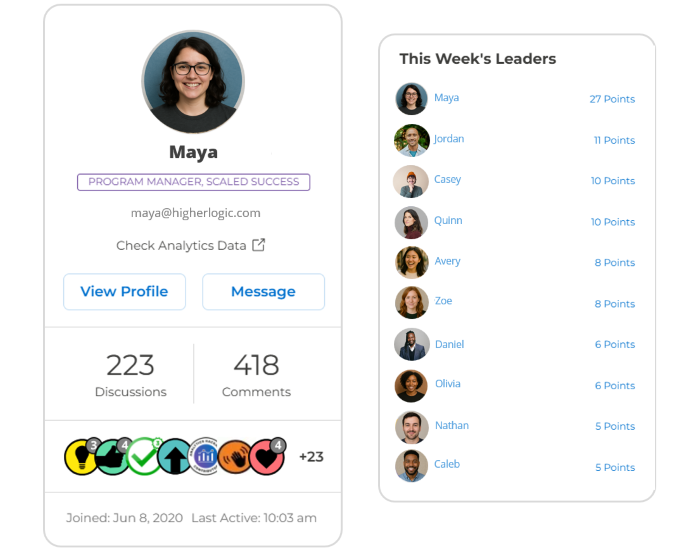 Higher Logic gamification including profile card with badges and ranks and leaderboard view